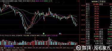 安井食品资产管理公司的秘密 高效资产运作背后的战略与智慧