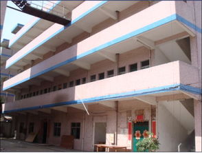 东莞市马安岭2号好运厂资产管理探析——基于农村社区集体资产管理的视角